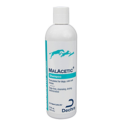 Dechra Malacetic Shampoo Shampoo 230 Ml