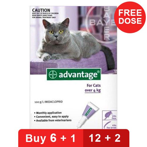 

Advantage Cats Over 10lbs Purple 4 Doses