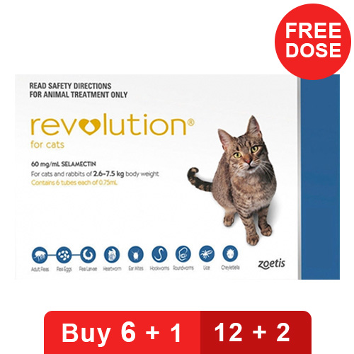 Revolution for Cats Buy Revolution Flea Control for Cats