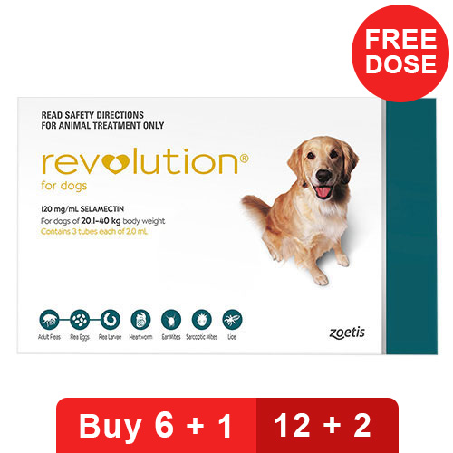 Revolution for Dogs Buy Revolution for Dogs Flea & Heartworm Treatment