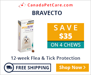 Bravecto is a pleasant chewable that works 12 full weeks to protect dogs from fleas and ticks just in a single dose. A more potent flea and tick treatment: Bravecto is a broad-spectrum treatment for parasites.