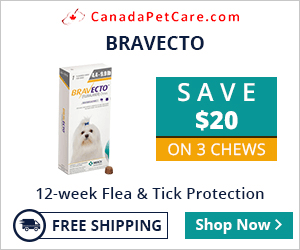 Bravecto is a pleasant chewable that works 12 full weeks to protect dogs from fleas and ticks just in a single dose. A more potent flea and tick treatment: Bravecto is a broad-spectrum treatment for parasites.