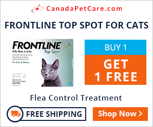 Frontline Top Spot for cats is a spot-on treatment for killing fleas and ticks in 8 weeks and older kittens/cats. Its insecticidal properties paralyze the parasites and kill them within 24 hours of application.