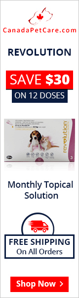 Revolution is an easy to apply topical treatment used on a monthly basis for a broad spectrum internal and external parasites. It is an effective heartworm preventive solution and kills fleas and ear mites in canines.