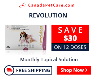 Revolution is an easy to apply topical treatment used on a monthly basis for a broad spectrum internal and external parasites. It is an effective heartworm preventive solution and kills fleas and ear mites in canines.