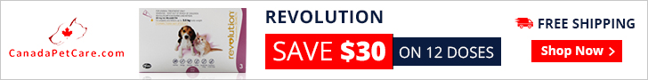 Revolution is an easy to apply topical treatment used on a monthly basis for a broad spectrum internal and external parasites. It is an effective heartworm preventive solution and kills fleas and ear mites in canines.